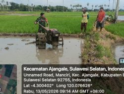 Akselerasi Masa Tanam, Babinsa Koramil 1407-01/Ajangale Dampingi Pengolahan Lahan di Manciri