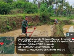 Optimalkan Sektor Pertanian, Babinsa Koramil 09/Lapri Kodim 1407/Bone Giatkan Gotong Royong Bersama Petani Lapri