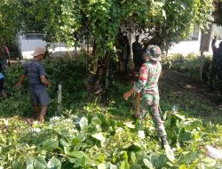 Babinsa Koramil 1407-02/Dua Boccoe Bersama Warga Laksanakan Karya Bakti Bersihkan Ranting Pohon Di Jalan Desa