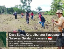 Semangat Kebersamaan, Babinsa Koramil 1407-14/Libureng Gotong Royong Tanam Jagung Bersama Warga