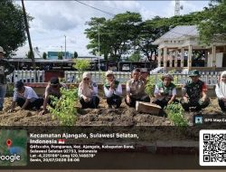 Gerakan Pemanfaatan Lahan Produktif, Babinsa Ajangale Bersama Forkopimcam Tanam Sayuran Di Depan Kantor Kecamatan