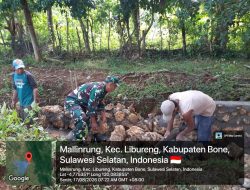 Babinsa Libureng Kodim 1407/Bone Turun Tangan, Bantu Perbaikan Irigasi Dan Jalan Tani Di Desa Mallinrung
