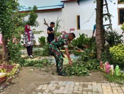 Babinsa Salomekko Kodim 1407/Bone Bersama Guru Bersihkan Dan Pangkas Pohon Di Halaman Sekolah