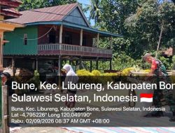 Babinsa Koramil Libureng Kodim 1407/Bone Bantu Warga Jemur Padi Hasil Panen