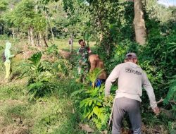 Lancarkan Pengairan Sawah, Babinsa Barebbo Kodim 1407/Bone Dan Warga Gotong Royong Benahi Aliran Air di Desa Lampoko