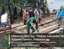 Kerja Bersama Tanpa Sekat, Babinsa Koramil Palakka Kodim 1407/Bone Ikut Tegakkan Tiang Rumah Warga