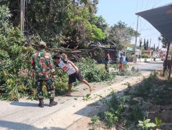 Angin Kencang Tumbangkan Pohon Di Jalan Poros, Anggota Koramil 03/Cenrana Kodim Bone Bergerak Cepat Evakuasi