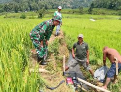 Pastikan Pengairan Sawah Berjalan, Babinsa Ramil Bontocani Kodim Bone Dampingi Petani Optimalkan Pompa Air Di Bontojai