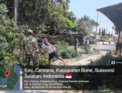 Angin Kencang Tumbangkan Pohon Di Jalan Poros, Anggota Koramil 03/Cenrana Kodim Bone Bergerak Cepat Evakuasi
