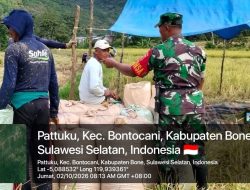 Dari Hamparan Sawah Pattuku, Babinsa Bontocani Kodim 1407/Bone Dampingi Petani Memanen Hasil Pertanian Di Wilayah Binaan