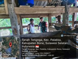 Babinsa Ramil Palakka Kodim 1407/Bone Perkuat Ketahanan Peternakan Lewat Pendampingan Vaksinasi Hewan