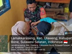 Melalui Pendampingan Posyandu, Babinsa Mare Kodim 1407 Bone Dukung Upaya Peningkatan Kesehatan Warga