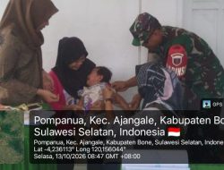 Melalui Pendampingan Posyandu, Babinsa Ramil Ajangale Kodim 1407 Bone Perkuat Kepedulian di Wilayah Binaan
