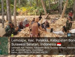 Ringankan Beban Petani, Babinsa Ramil 21 Palakka Kodim 1407/Bone Turun Tangan Bantu Kupas Jagung Pascapanen