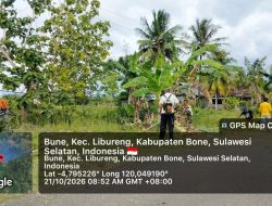 Koramil 1407-14/Libureng Kodim Bone Perkuat Kemanunggalan TNI-Rakyat Melalui Kerja Bakti