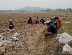 Duduk Bersama Petani, Babinsa Koramil 16/Tonra Kodim 1407/Bone Tumbuhkan Semangat Kebersamaan Di Bantileng