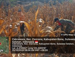 Dukung Aktivitas Petani, Babinsa Ramil 03 Cenrana Kodim 1407/Bone Terlibat Dalam Pembersihan Lahan